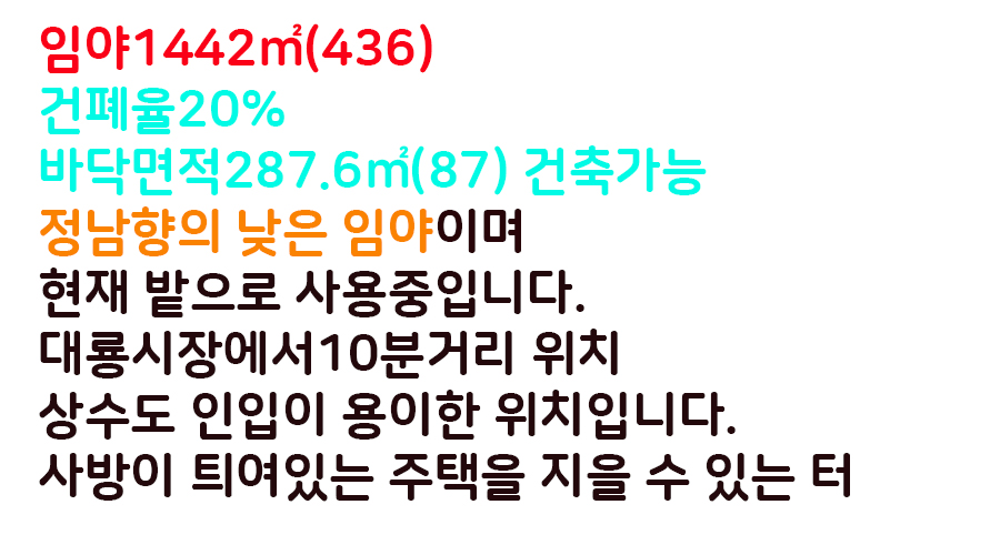 ���� ����-2.jpg