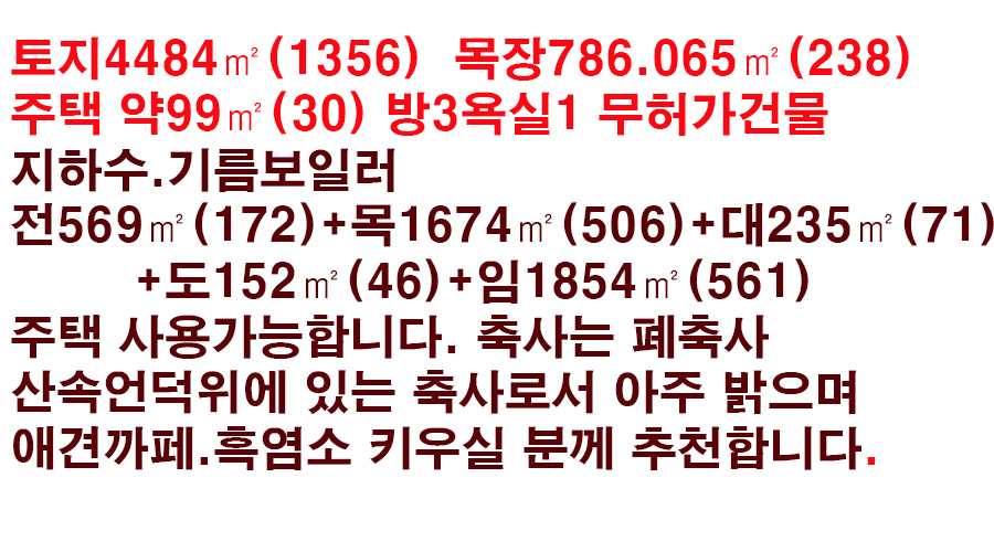 ���� ����-1.jpg