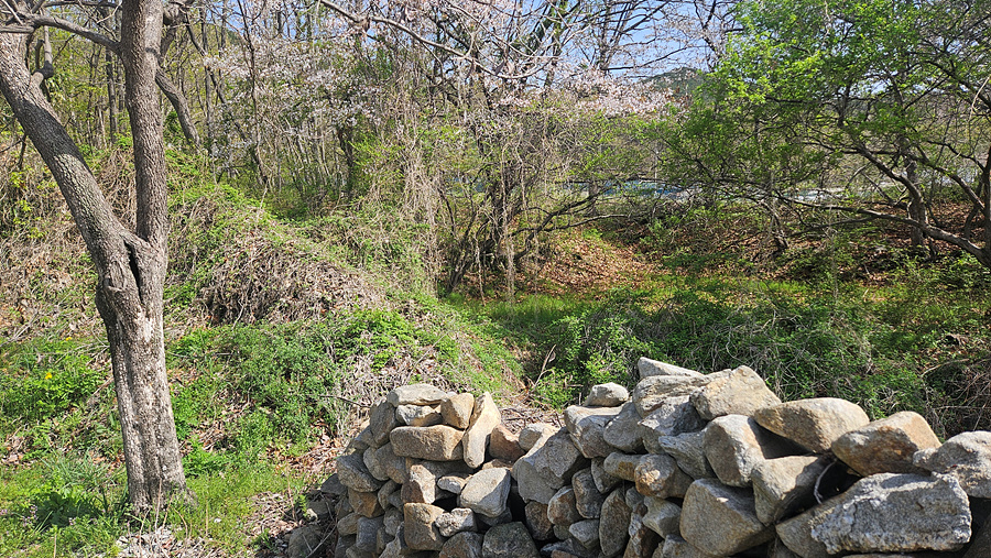 20250423_095530.jpg