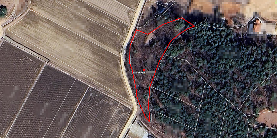 ȭ�� ĸó 2025-07-19 143948.jpg