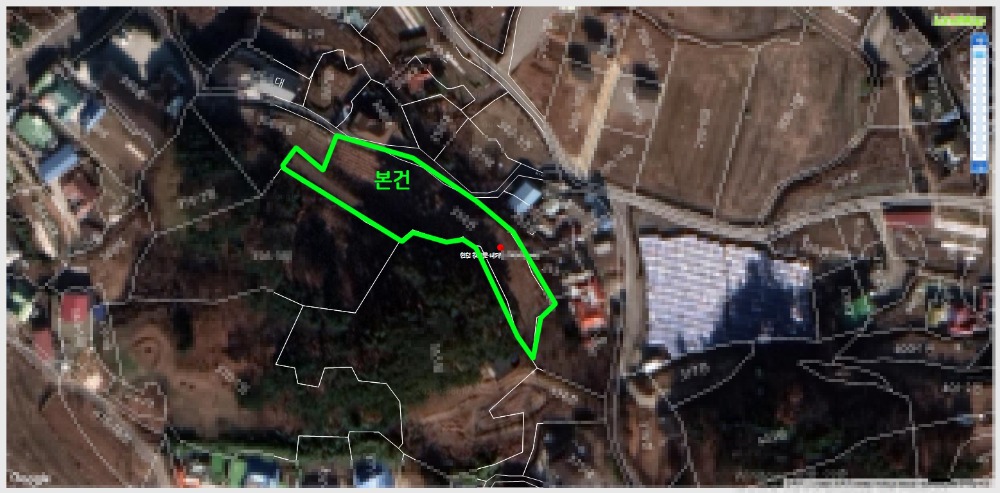 Ȳ354.jpg