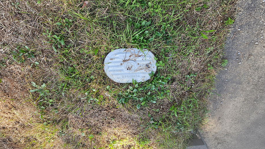 20251024_141519.jpg