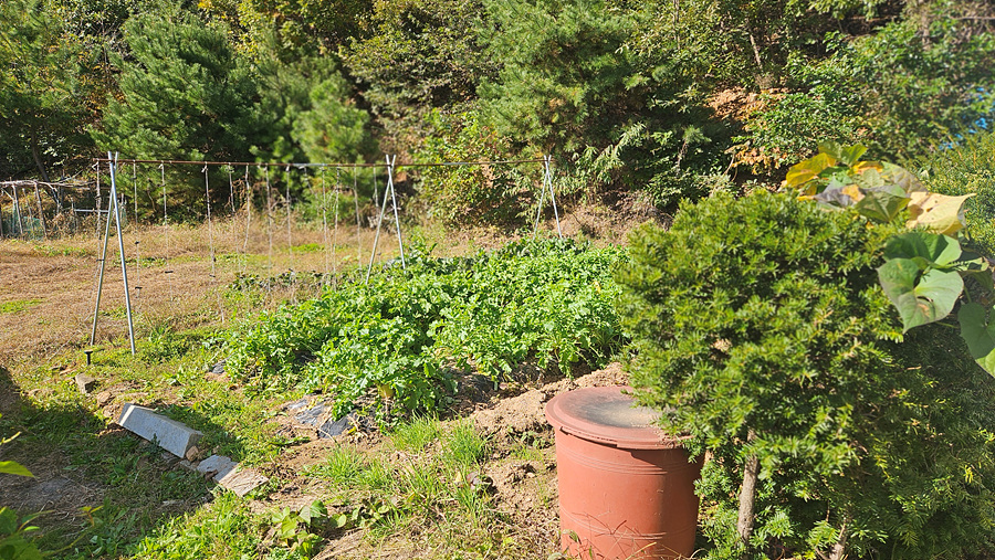 20251027_135947.jpg