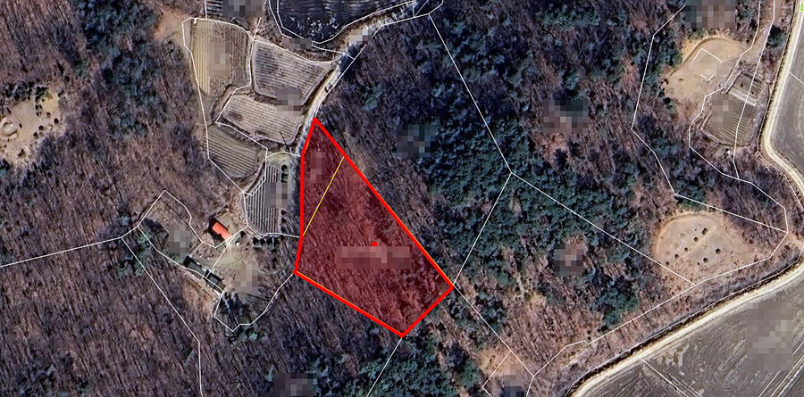 ȸé ĸó 2026-01-23 173212.jpg