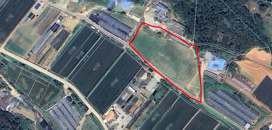 ȸé ĸó 2026-02-03 095818.jpg