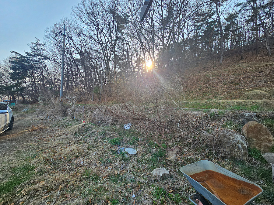 20260402_171939.jpg