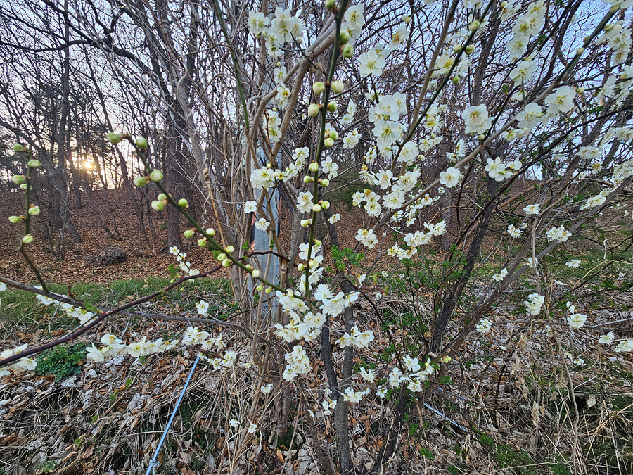 20260402_172048.jpg