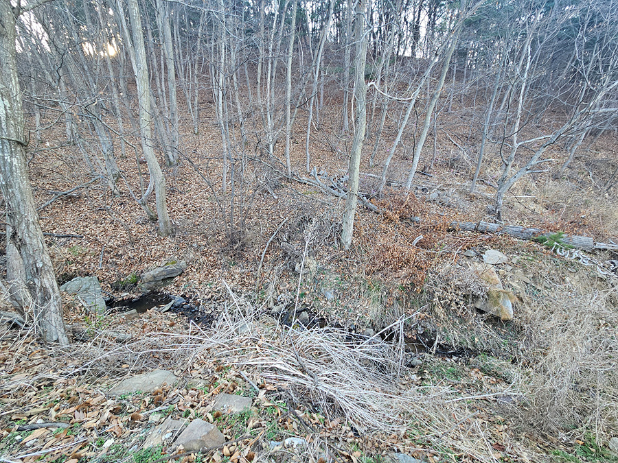 20260402_173142.jpg