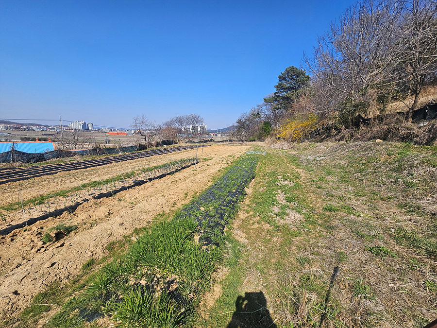 20260408_150359.jpg