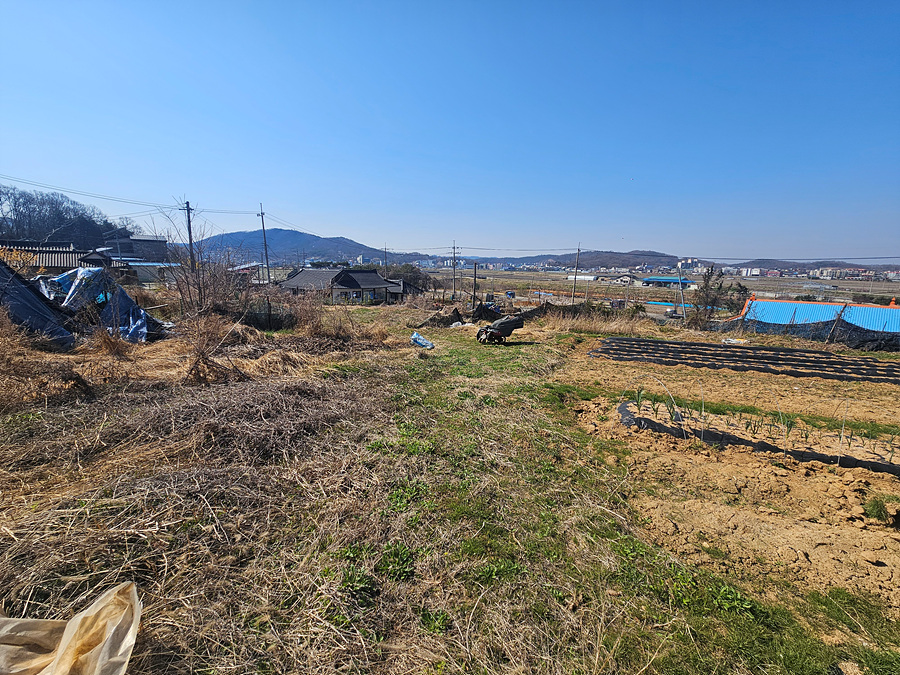 20260408_150401.jpg
