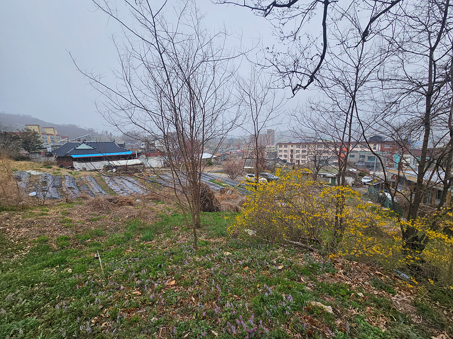 20260411_093419.jpg