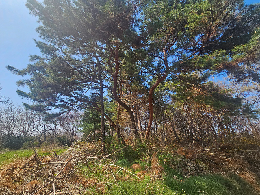20260411_150103.jpg