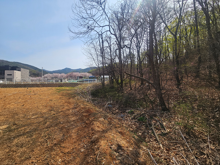 20260414_105850.jpg