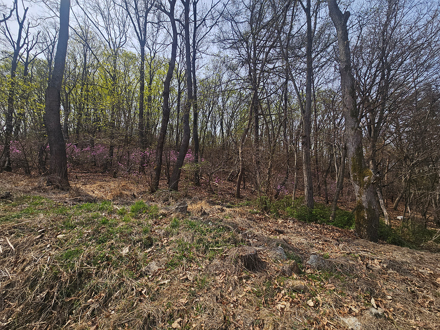 20260414_105943.jpg