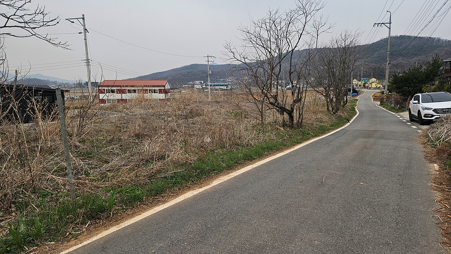 20250409_104704.jpg