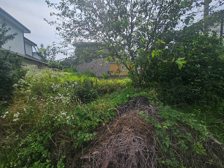 20260703_152934.jpg