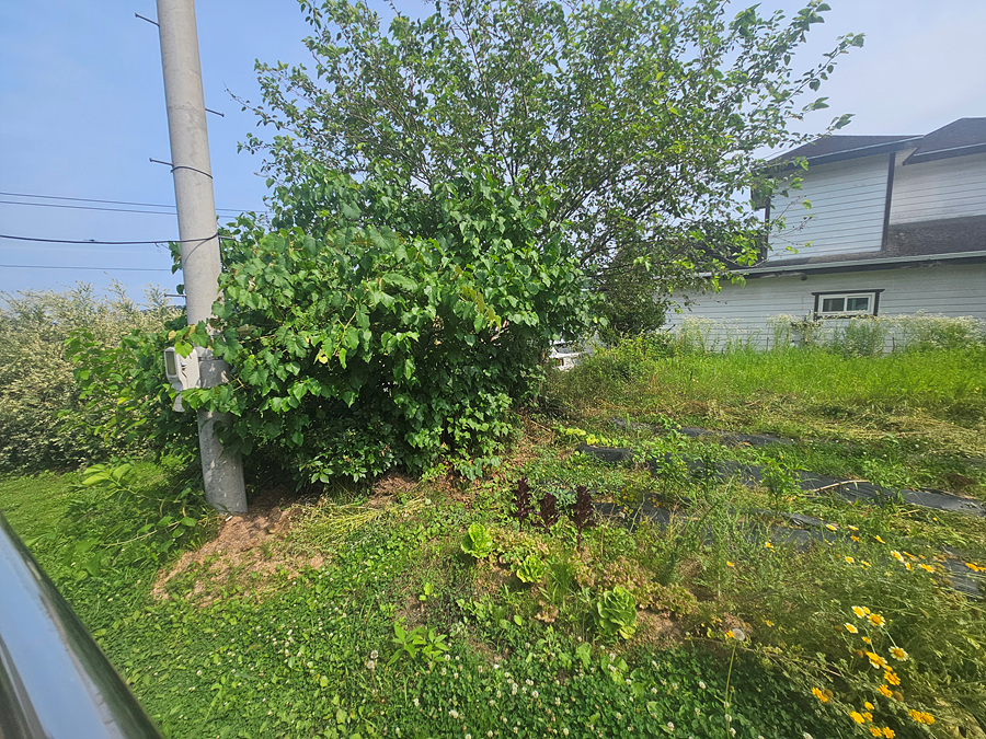 20260703_152916.jpg