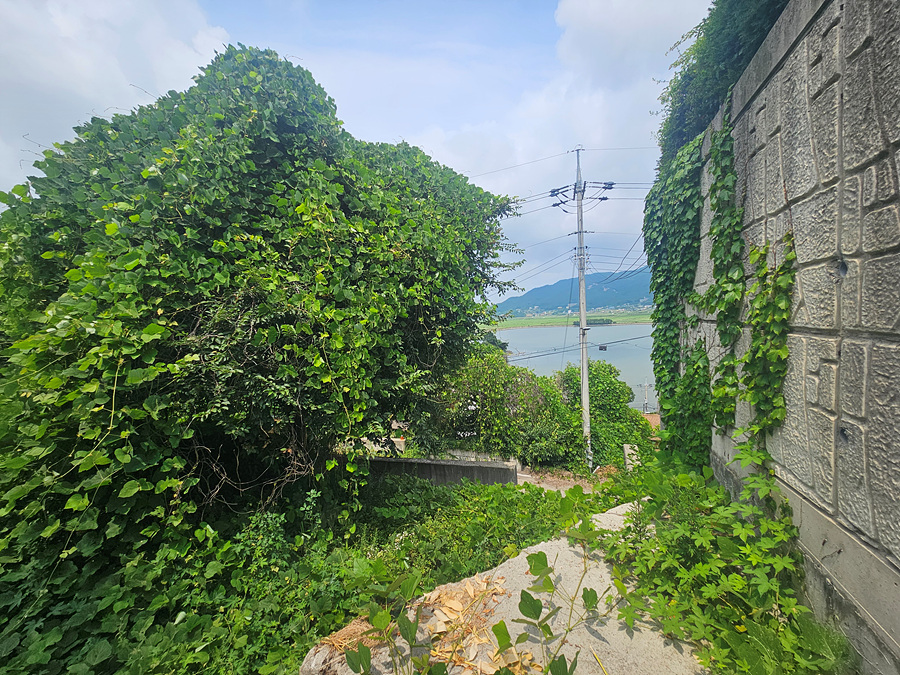 20260704_134751.jpg