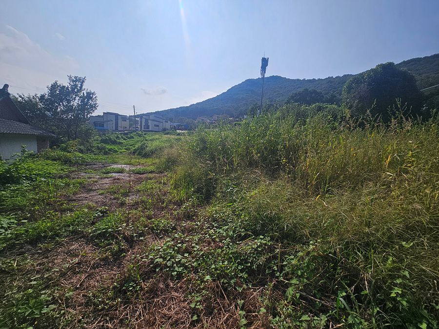 20260827_154058.jpg